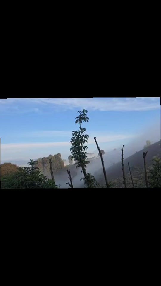 TikTok video thumbnail by hz_b27