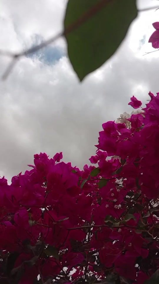 TikTok video thumbnail by astagfar.alah