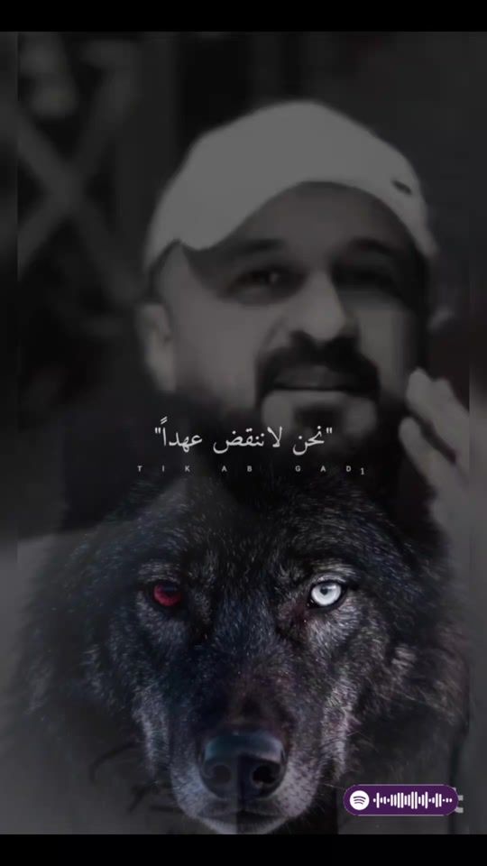 TikTok video thumbnail by e_seid1