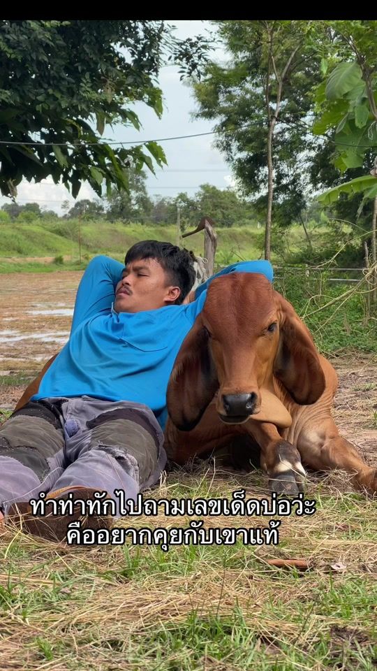 TikTok video thumbnail by psr.farm