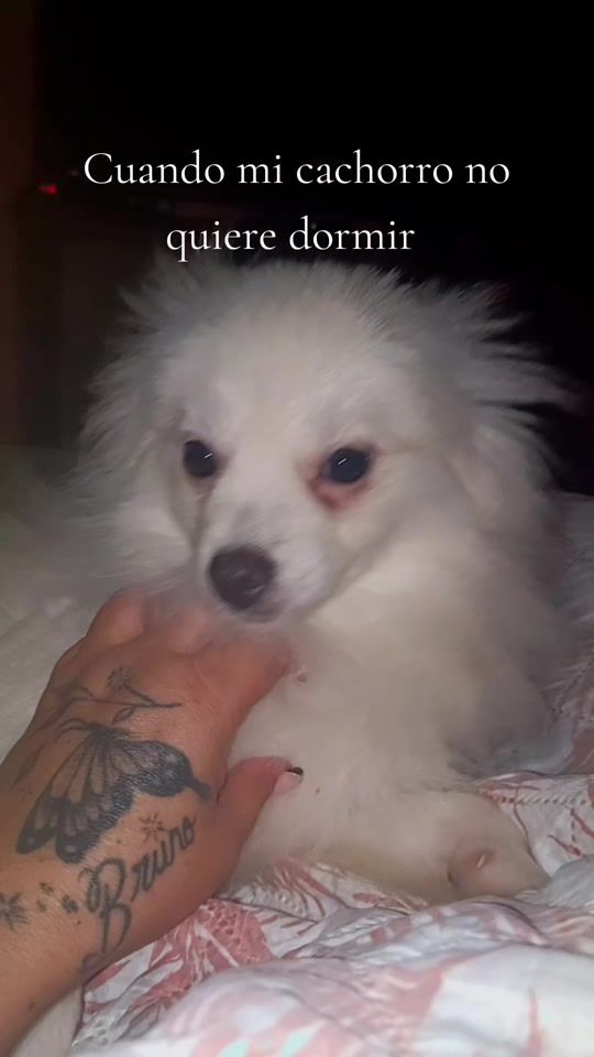 TikTok video thumbnail by cianyrodriguez7