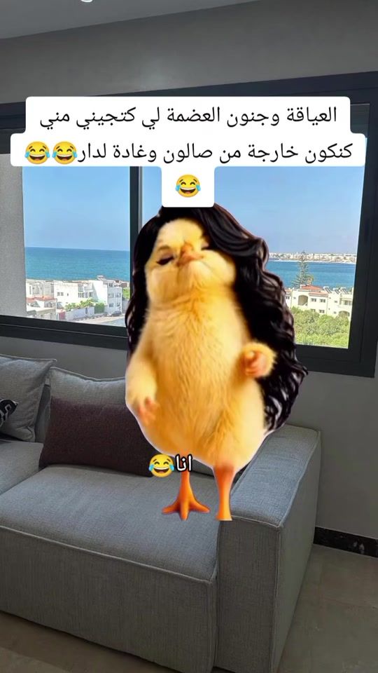 TikTok video thumbnail by elhassnaouighita