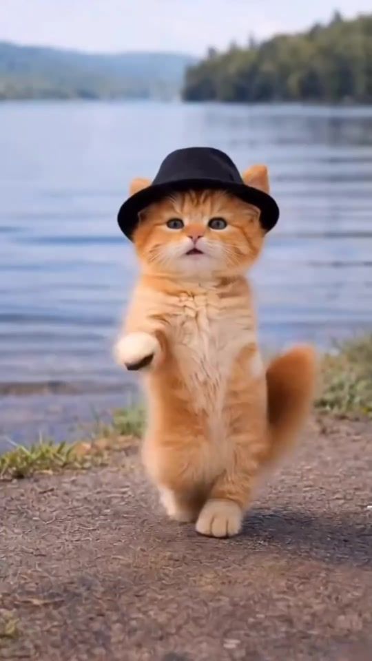 TikTok video thumbnail by emmanuelluloja