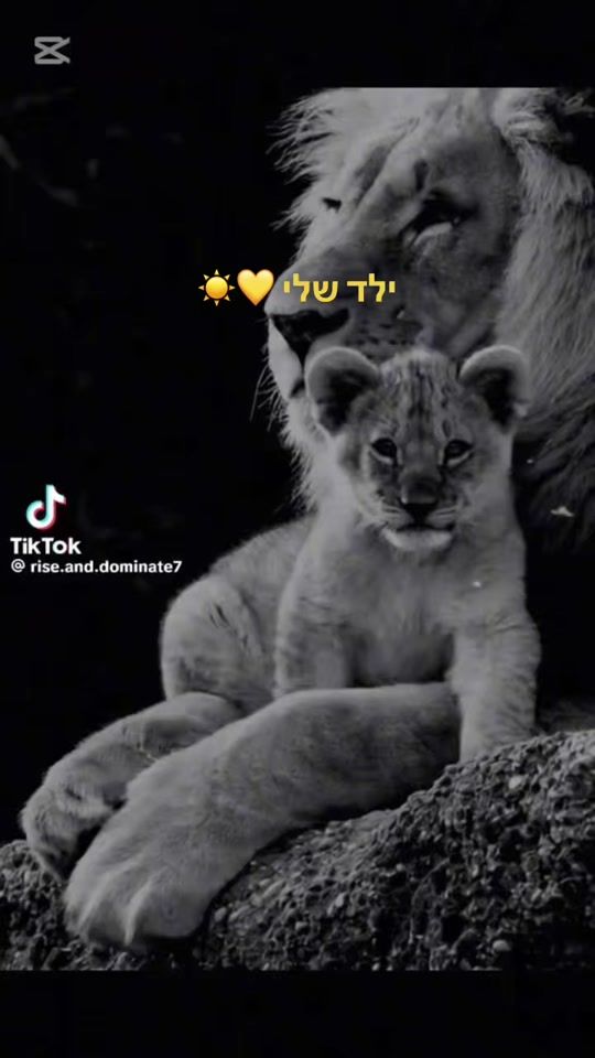 TikTok video thumbnail by lilushhh3