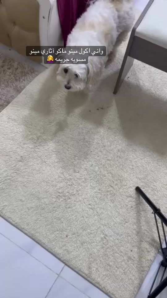 TikTok video thumbnail by mimo_193