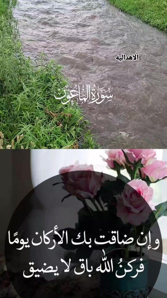 TikTok video thumbnail by om_sameer
