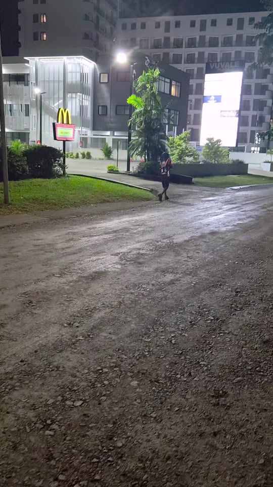 TikTok video thumbnail by patrickdatt