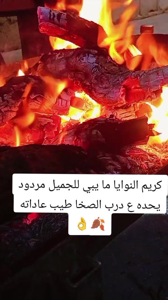 TikTok video thumbnail by abognad2