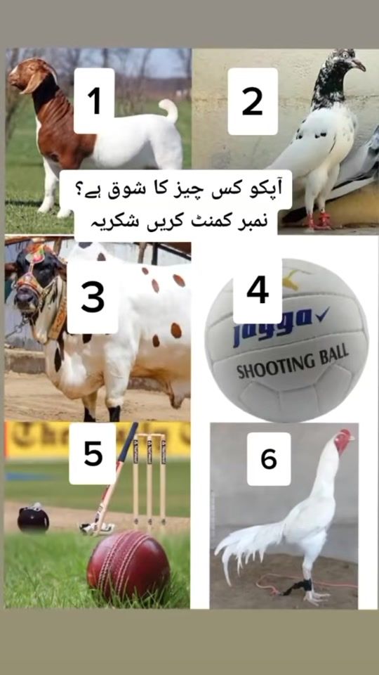 TikTok video thumbnail by jatt.sab7225