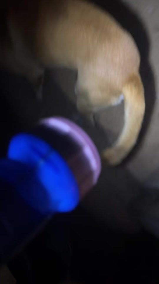 TikTok video thumbnail by johelgodinez