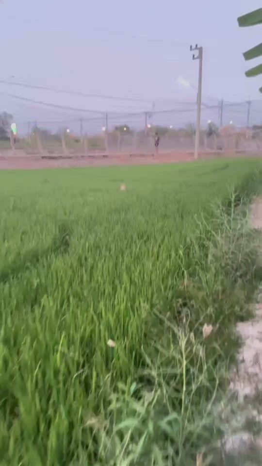 TikTok video thumbnail by bestsuphan7889