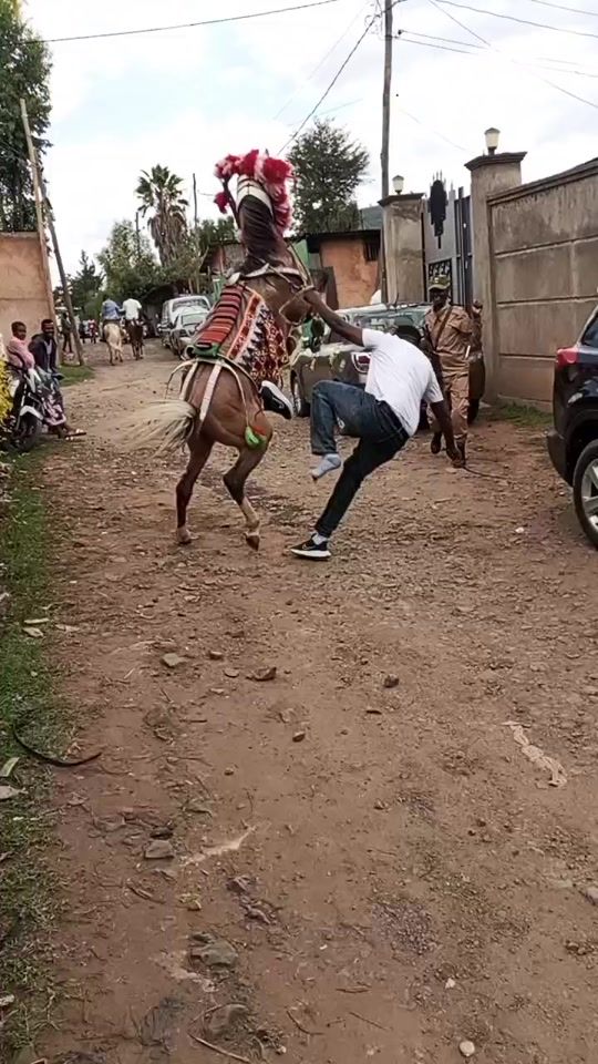 TikTok video thumbnail by motijifara