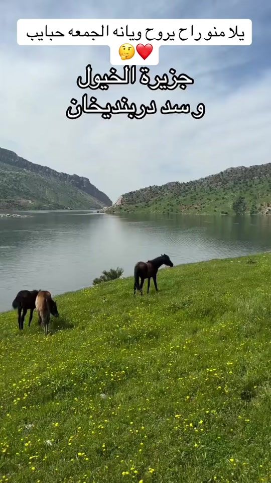 TikTok video thumbnail by s.19_f.o