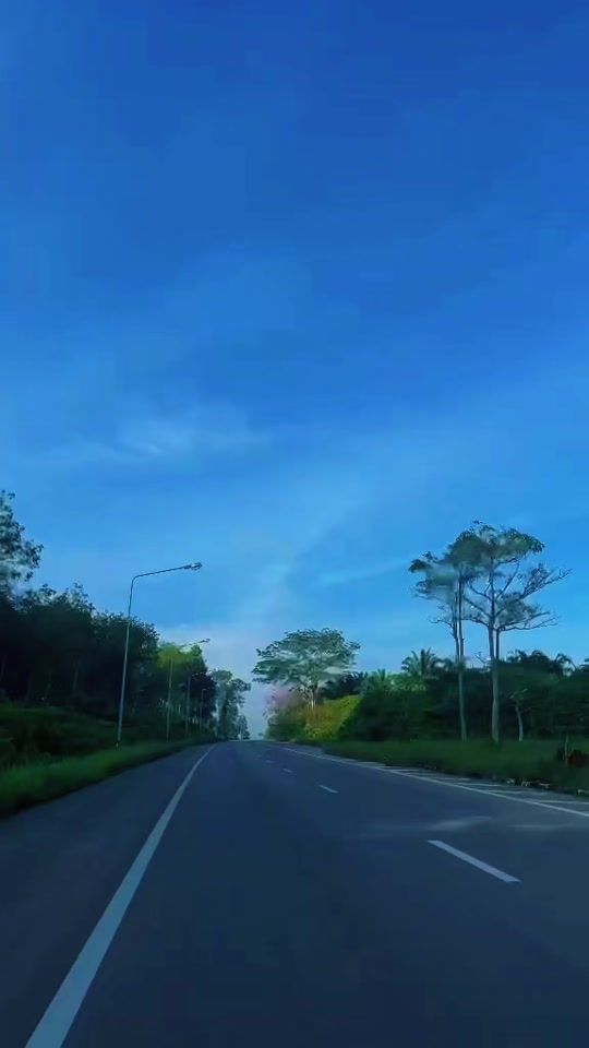 TikTok video thumbnail by blacklist_ann