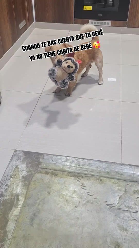 TikTok video thumbnail by toby3600