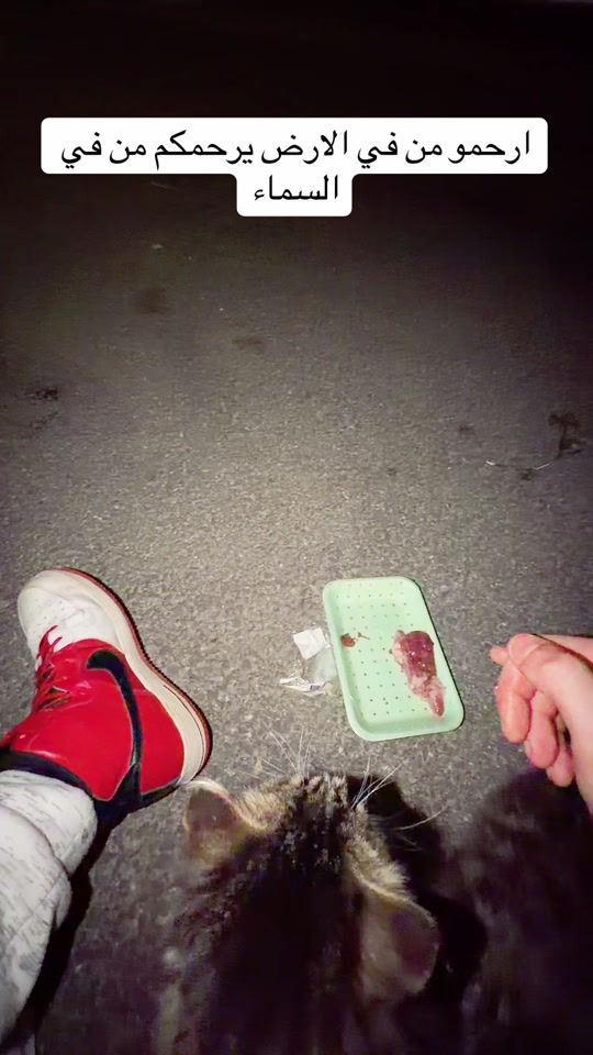 TikTok video thumbnail by albesanee