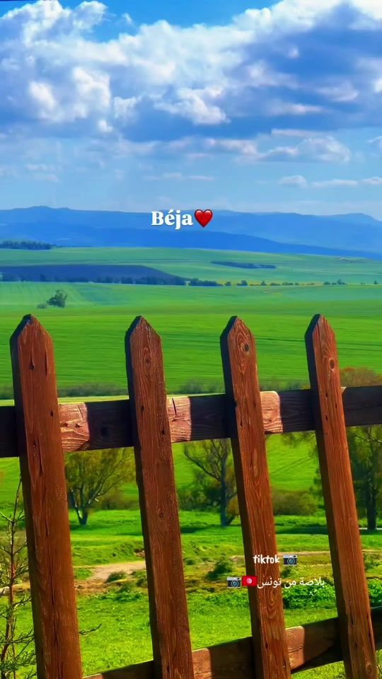 TikTok video thumbnail by w.n091