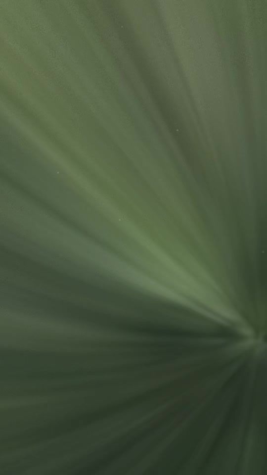 TikTok video thumbnail by yuan11.14