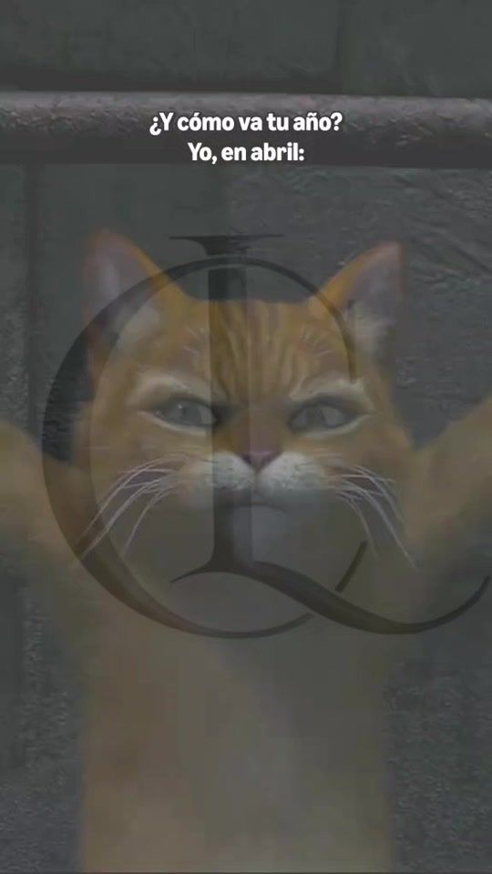 TikTok video thumbnail by scolt_25