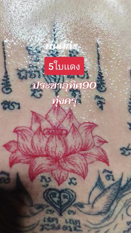 TikTok video thumbnail by phayamon_sakyanthai