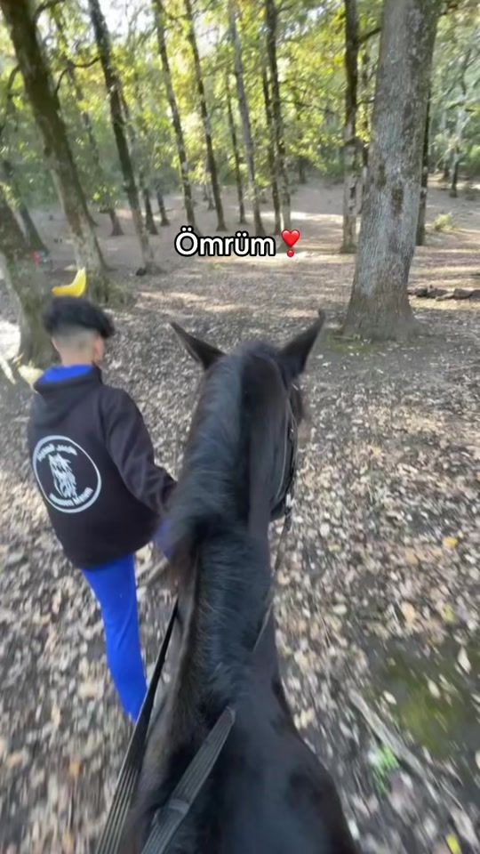 TikTok video thumbnail by houda_2324