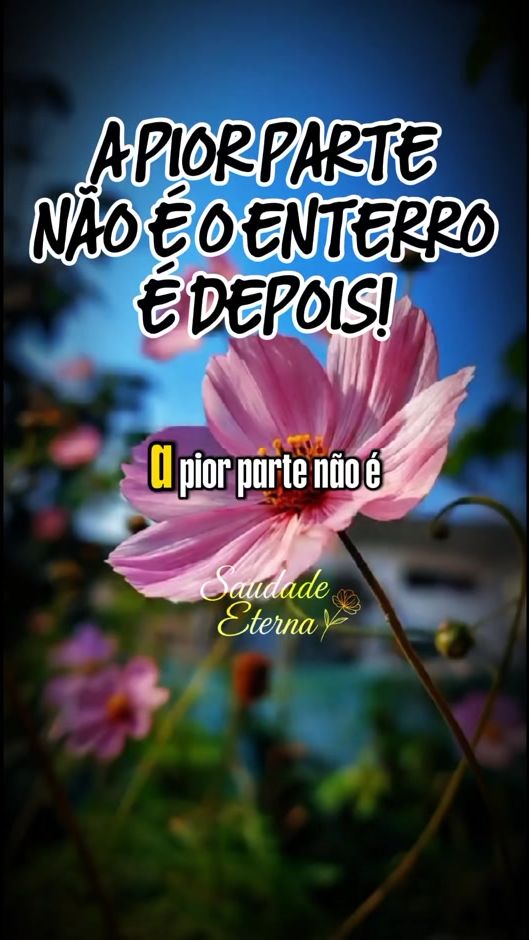 TikTok video thumbnail by saudade.eternaa