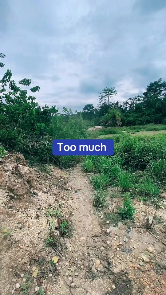 TikTok video thumbnail by adam.iddrisu39