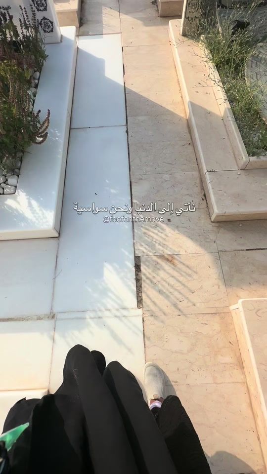 TikTok video thumbnail by foofonthemove