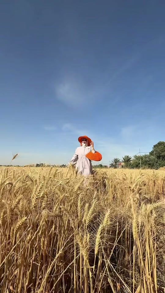 TikTok video thumbnail by ddawy