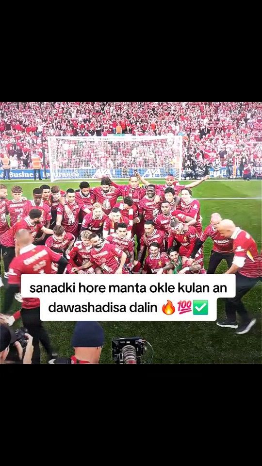 TikTok video thumbnail by fcynwa89