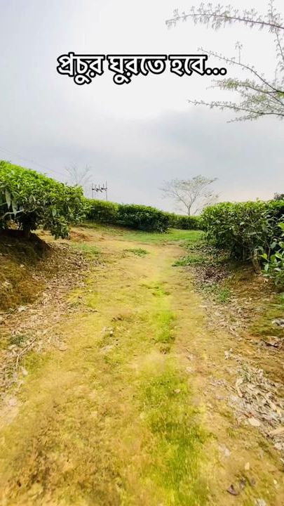 TikTok video thumbnail by rasel8238