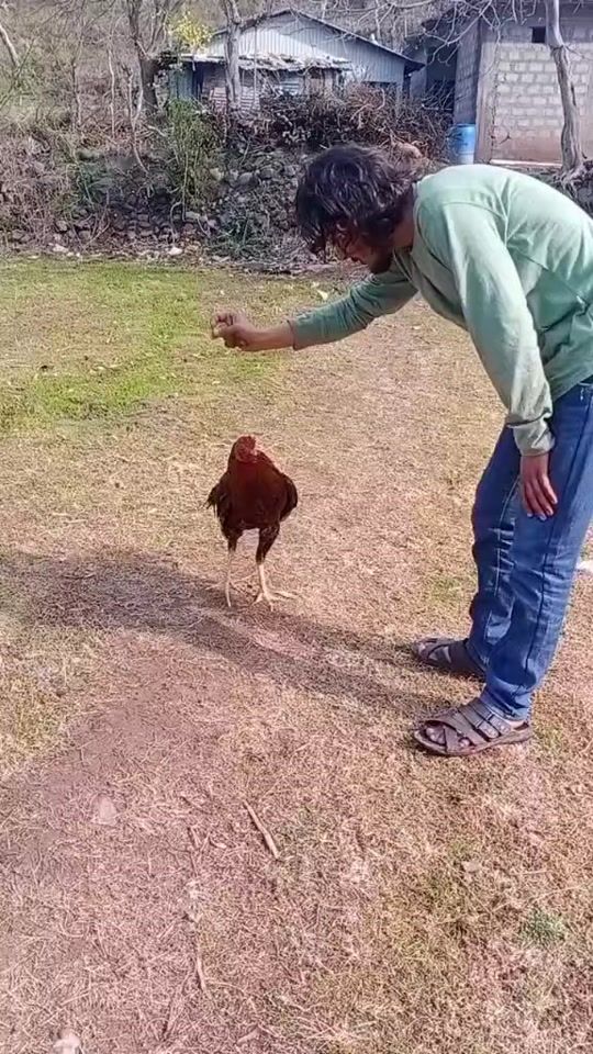 TikTok video thumbnail by majorzain1