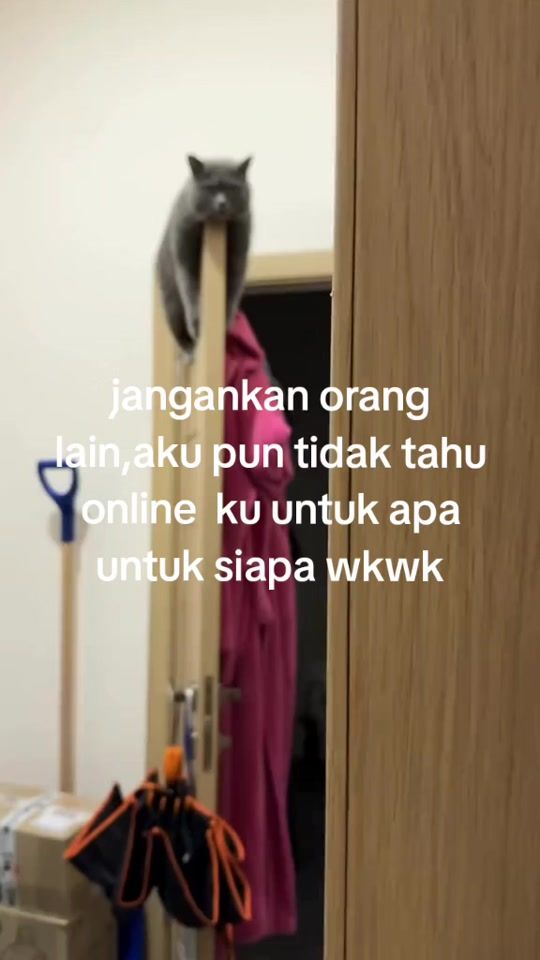 TikTok video thumbnail by n.wulansarii