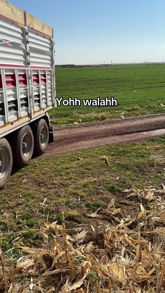 TikTok video thumbnail by serhed.47