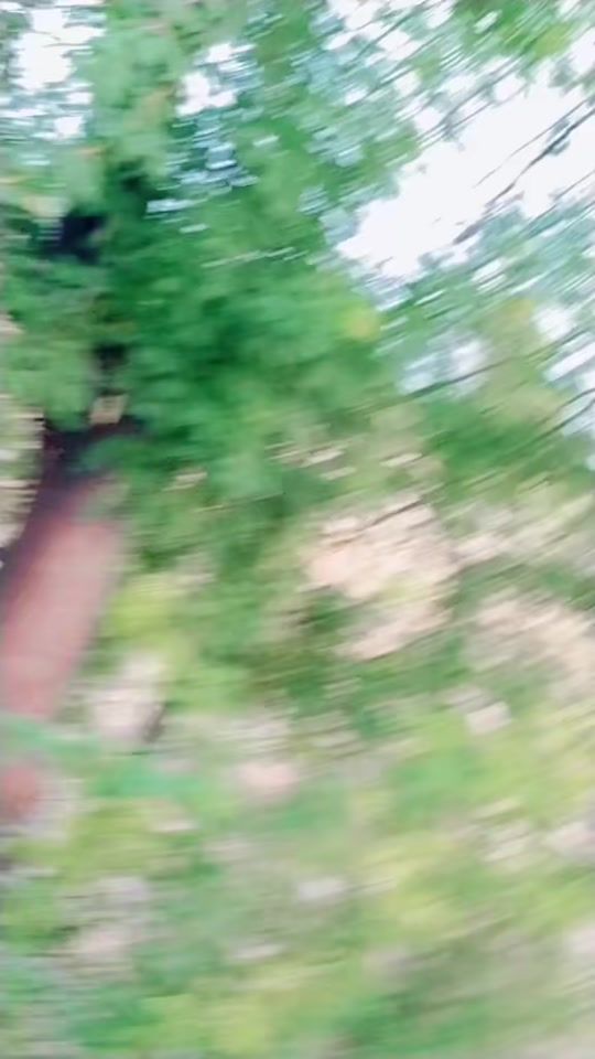 TikTok video thumbnail by inoxent_nazz