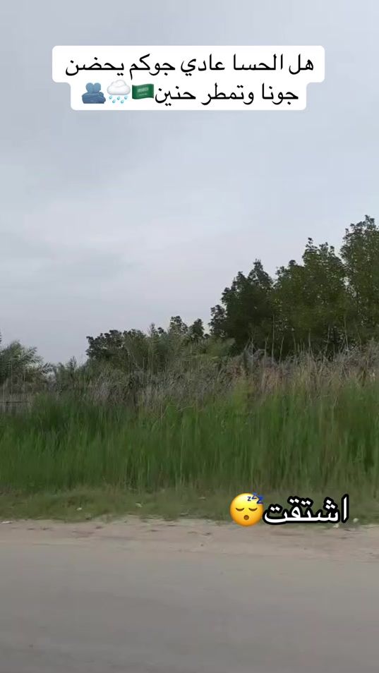 TikTok video thumbnail by manawy.44