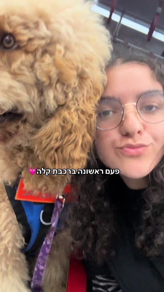 TikTok video thumbnail by avishag_shitrit