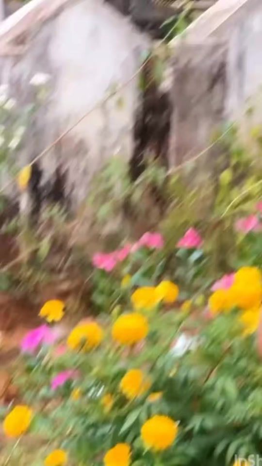 TikTok video thumbnail by achumoll0909