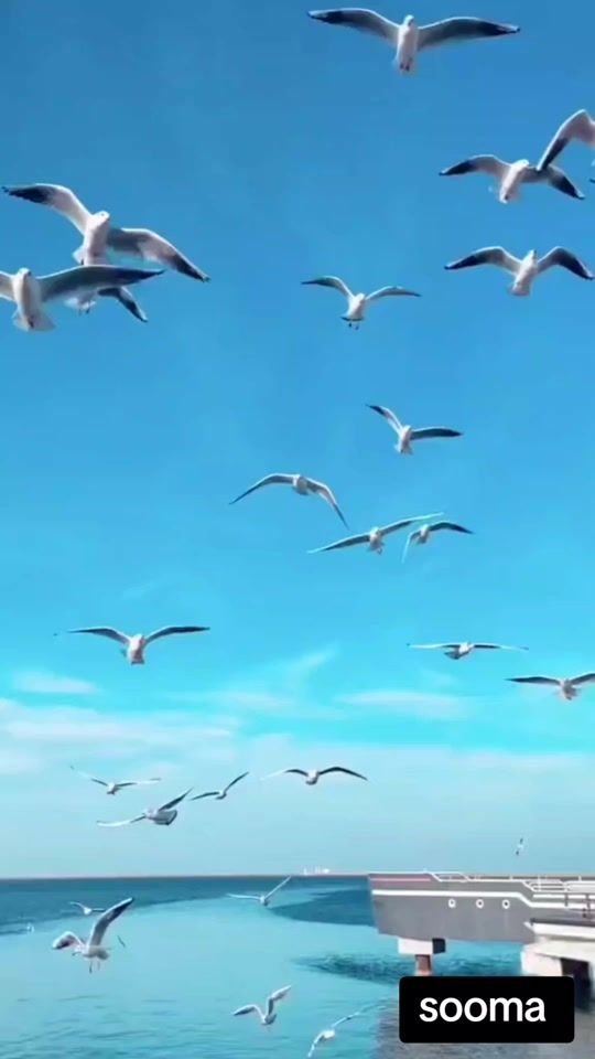 TikTok video thumbnail by soomawafy