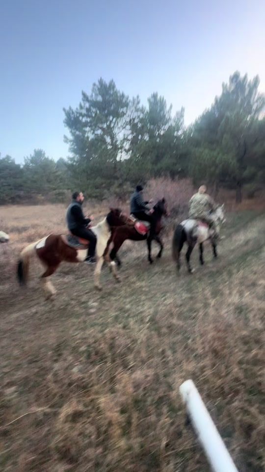 TikTok video thumbnail by aramtorosyan01