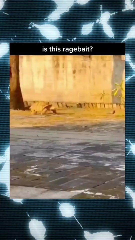 TikTok video thumbnail by bageera519