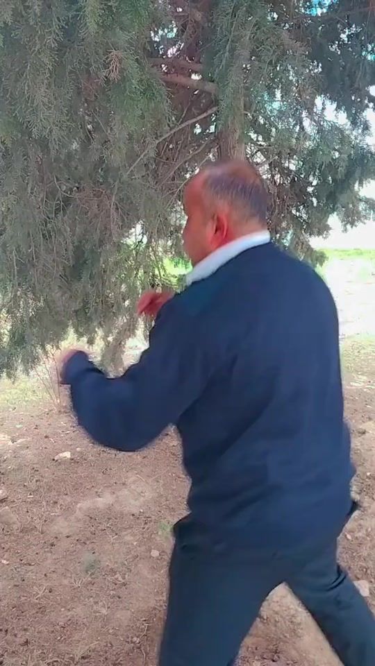 TikTok video thumbnail by rasim117