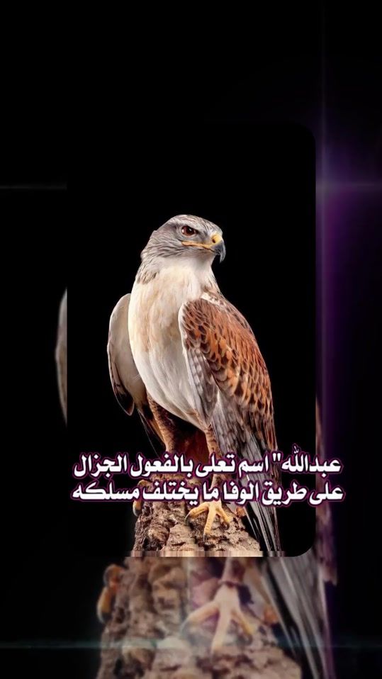 TikTok video thumbnail by alyas_010