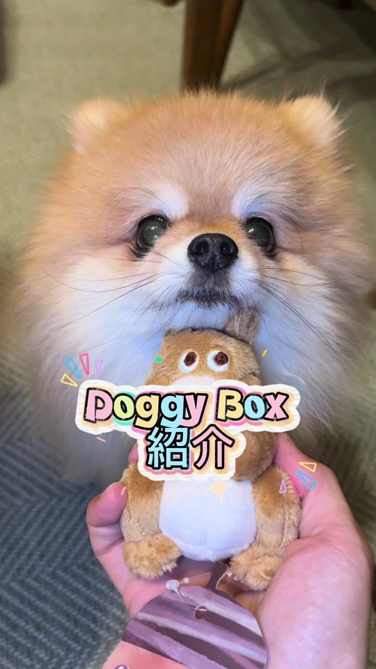 TikTok video thumbnail by pomekinako