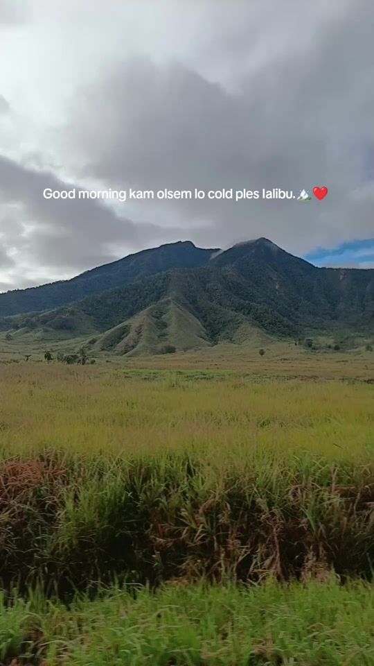 TikTok video thumbnail by loiiyard1