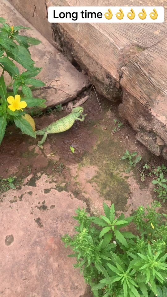 TikTok video thumbnail by originaltw3sua