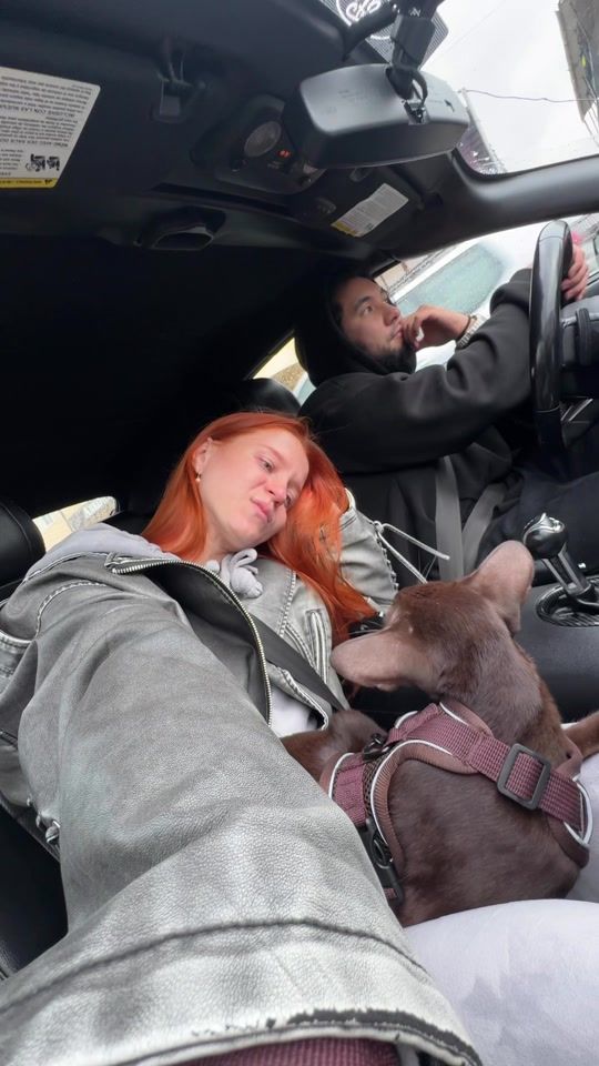 TikTok video thumbnail by staskoffamily