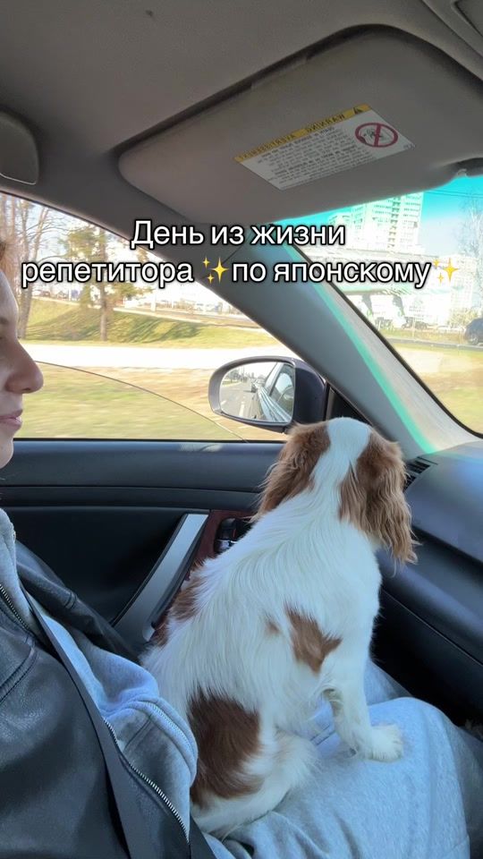 TikTok video thumbnail by hehuiill