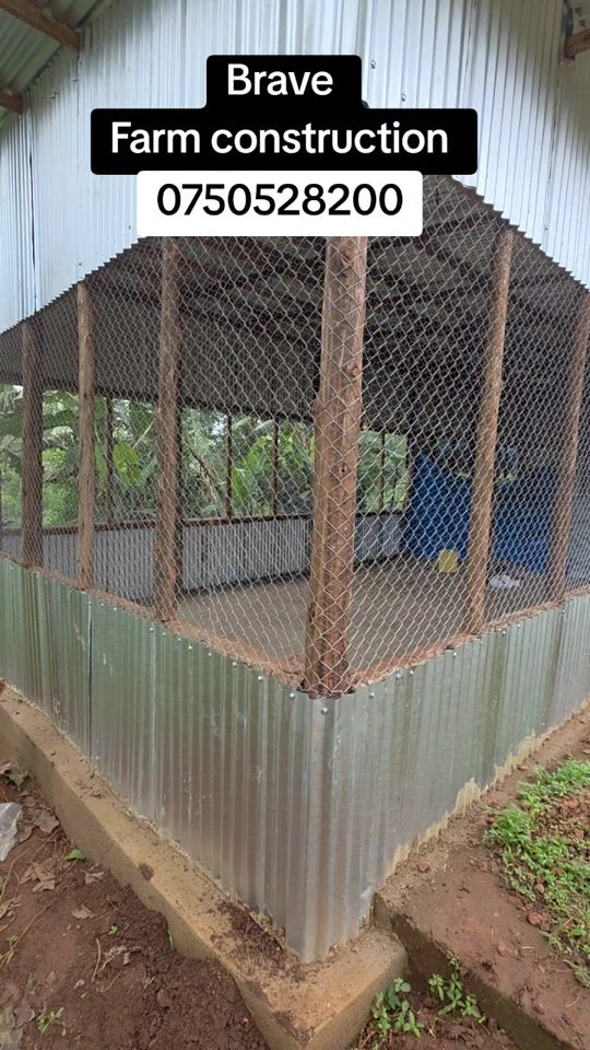 TikTok video thumbnail by bravefarms
