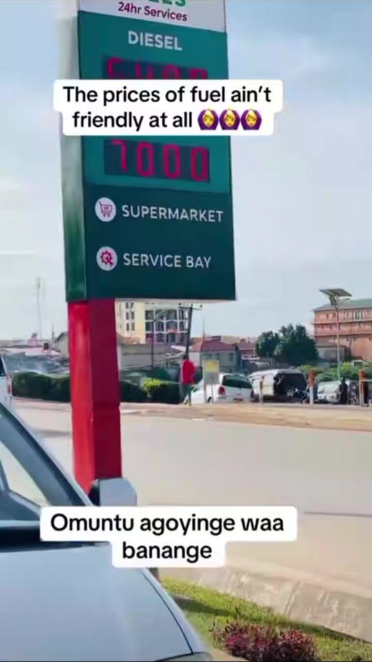 TikTok video thumbnail by charlex6666